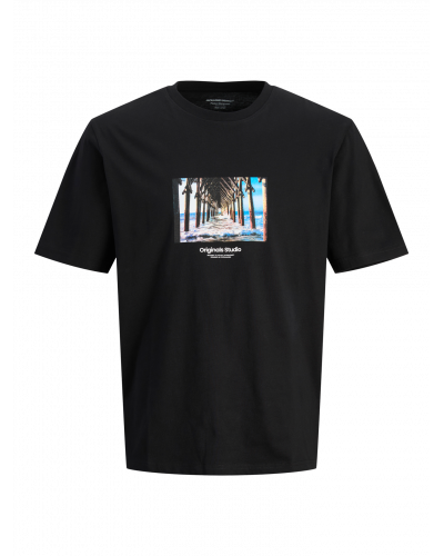 JORVESTERBRO PICTURE TEE SS CREW NECK SN